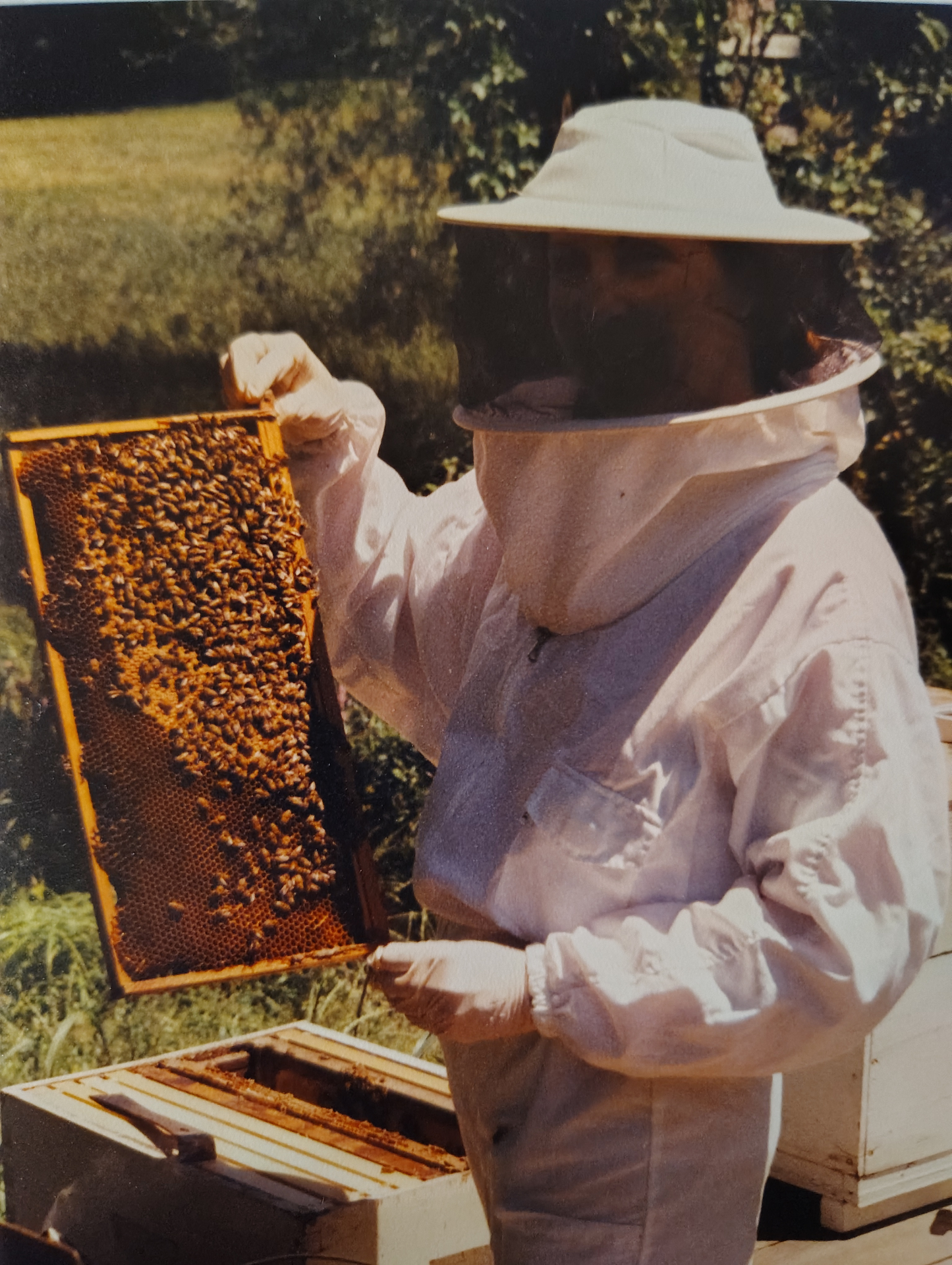 Tending to the bees