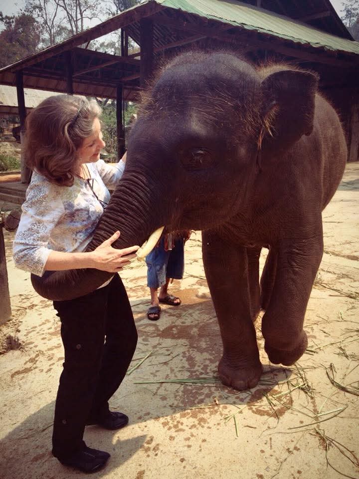 With an elephant in Thailand