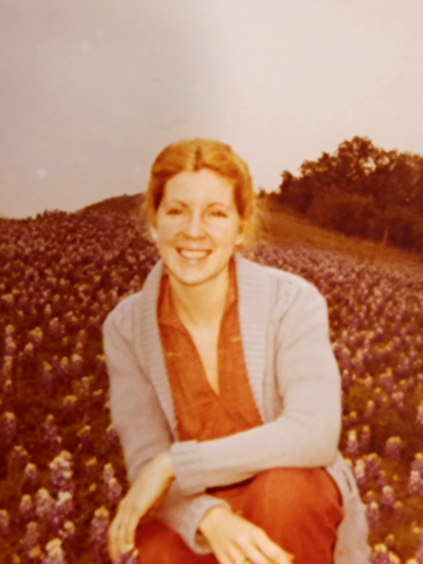 Among the wildflowers