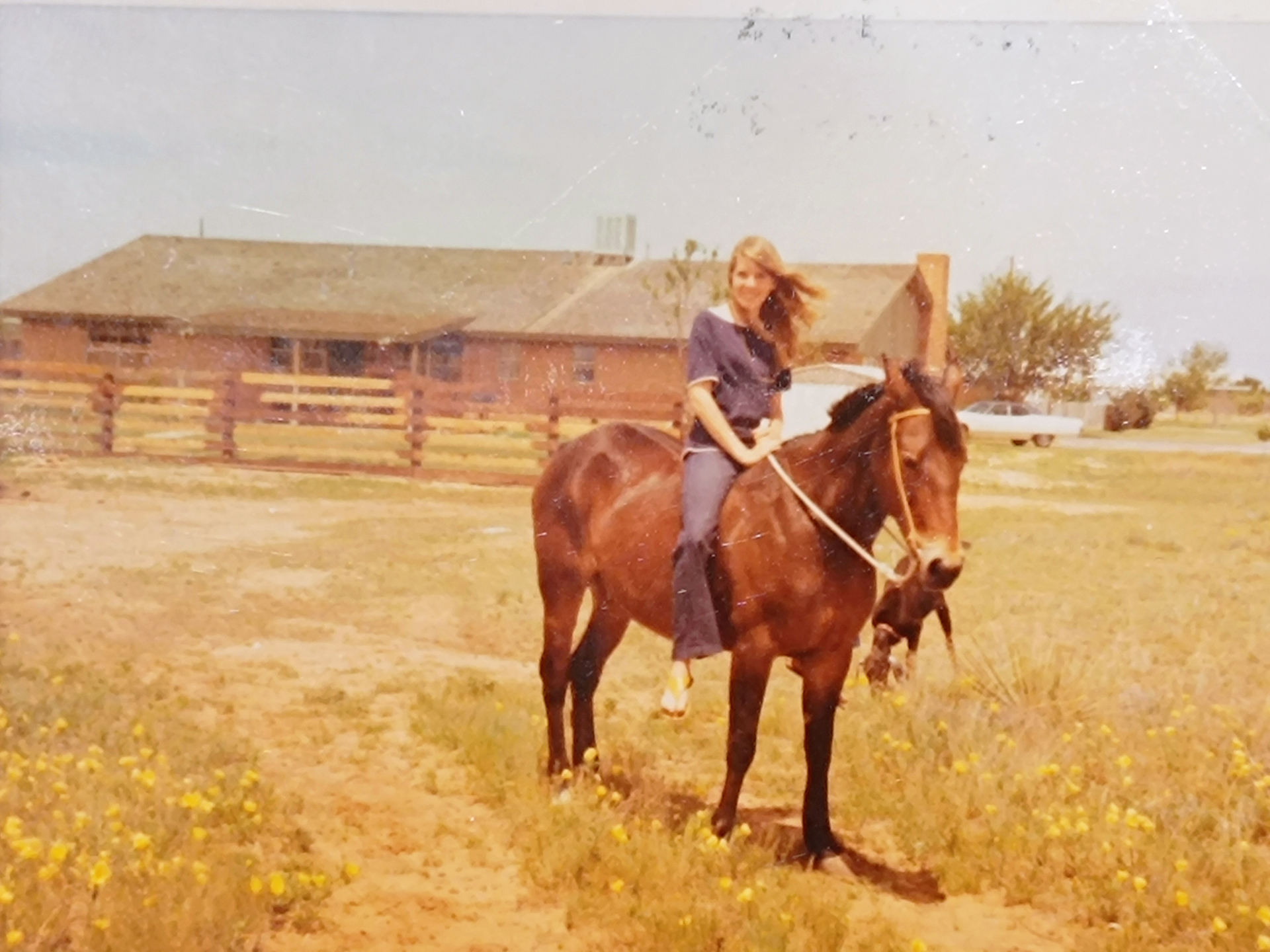 Riding on the homestead